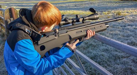 5 Best Air Rifles Sept 2021 BestReviews