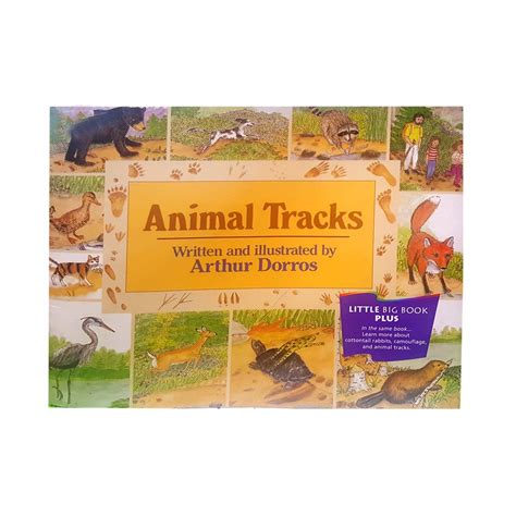 Animal Tracks Dorros Arthur 9780395731673 Books