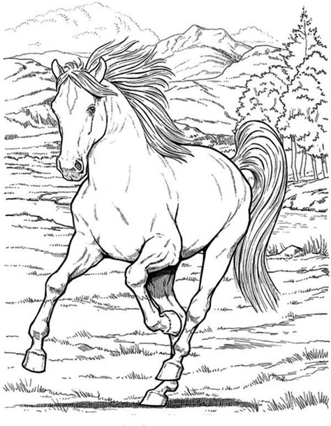 Wild Horse In Horses Coloring Page Netart Horse Coloring Pages