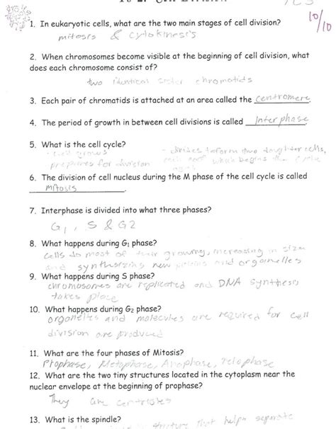 Mitosis and cell cycle worksheets and question keys are indeed very important. Cell Cycle Coloring Worksheet Answer Key — db-excel.com