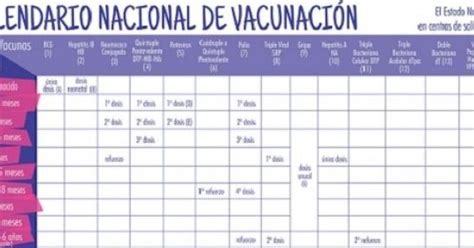 Importancia Del Cronograma De Vacunación
