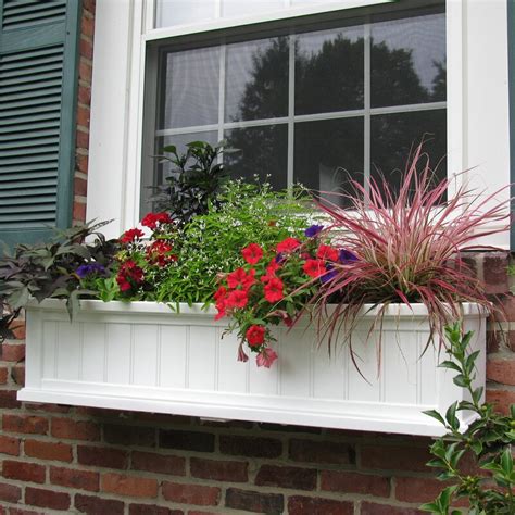 Whether you're looking for indoor planters or outdoor planters, lowe's has plenty of options to fill your space with greenery. Mayne Inc. Cape Cod Self-Watering Plastic Window Box ...