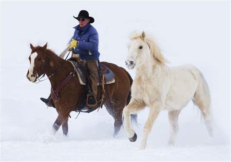 Winter Snows And Cowboy Riding His Horse Hideout Ranch Shell Wy
