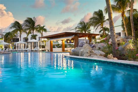 Divi Phoenix Gets Better Each Time Review Of Divi Aruba Phoenix Beach Resort Palm Eagle