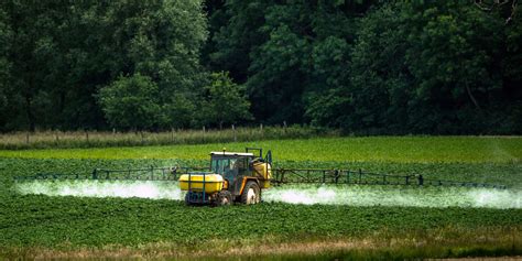 Tout Ce Quil Faut Savoir Sur Les Pesticides