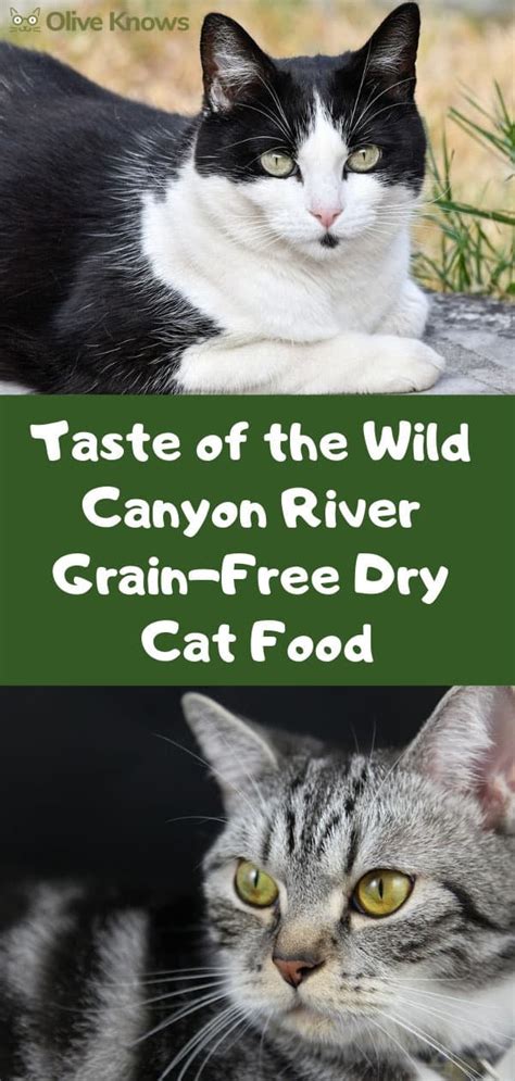 In spite of these setbacks, this company managed to hold up. Taste of the Wild Canyon River Grain-Free Dry Cat Food ...