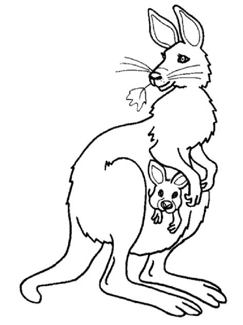 Download and print these kangaroo coloring pages for free. Kangaroo coloring pages. Download and print Kangaroo ...