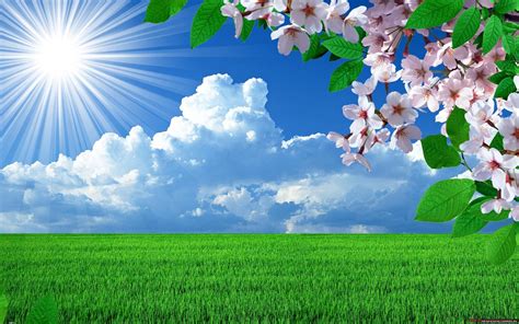 Spring Sunshine Desktop Wallpapers Top Free Spring Sunshine Desktop