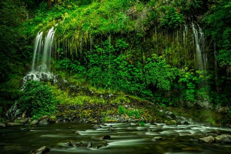 Der Tropische Regenwald Wasserfall Teich Im Tropischen Regenwald