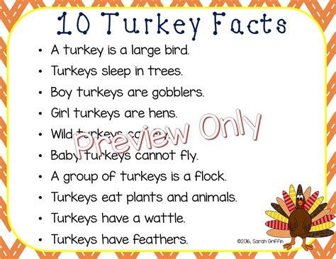 Pin By Tracy Dimatteo On Classroom Ideas Turkey Facts Facts For Kids