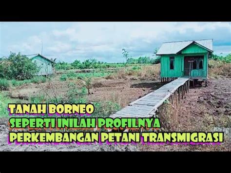 Perkembanganpetani Transmigrasi Ditanah Borneokalimantan Utara