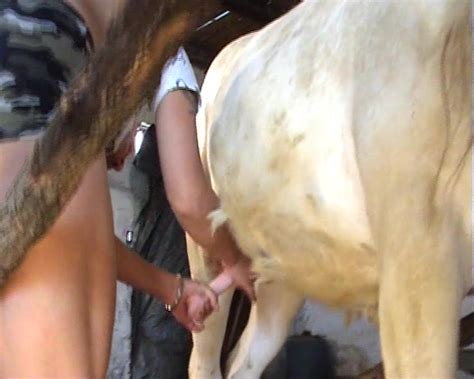 Prossy Takes Monster Cock Of Horse Into Vagina Zoo Tube 1