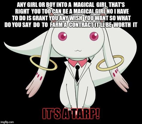 Anime Contract Magical Girl Me Too Meme Anime