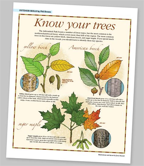 Know Your Trees