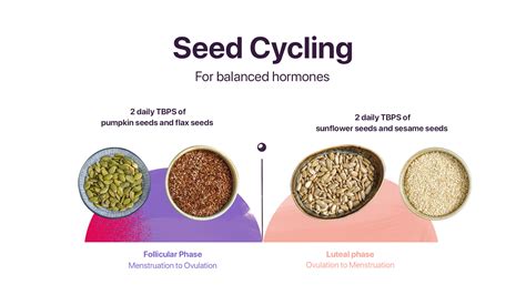 Seed Cycling