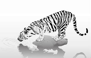 Welcome: Big Cats