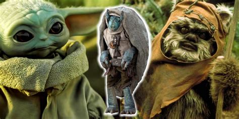 How Ahsokas Noti Stack Up Against Other Cute Star Wars Creatures