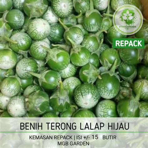 Jual Benihbiji Terong Lalap Hijau Kemasan Repack Shopee Indonesia