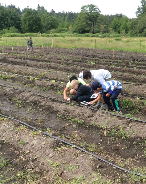 Farm Schools In Bc Part 2 Learning Through Collaboration Bc