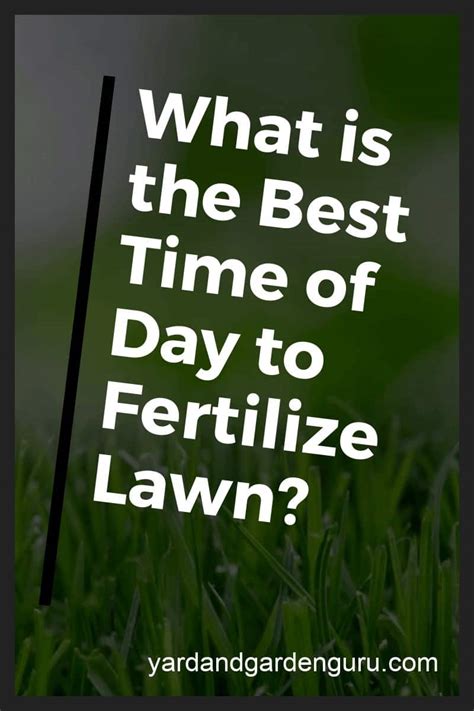 What Is The Best Time Of Day To Fertilize Lawn