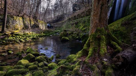Moss Stone Stream And Trees 4k Hd Nature Wallpapers Hd Wallpapers