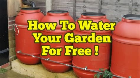 How To Water Your Garden For Free Youtube