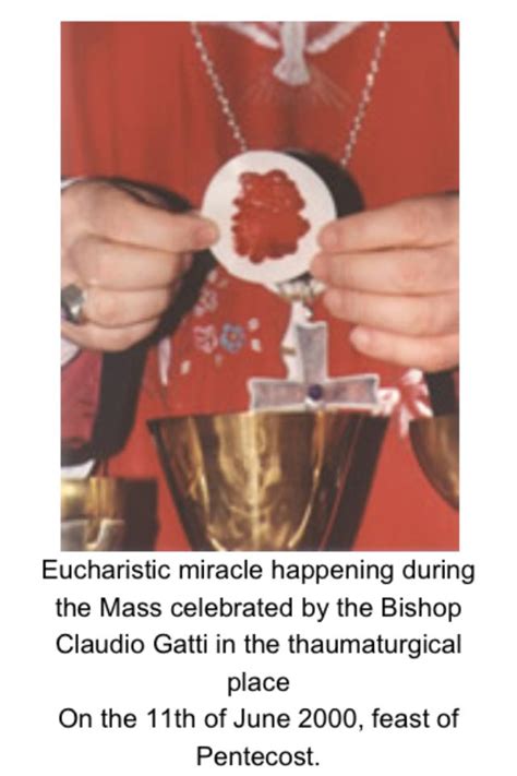 Eucharistic Miracle Eucharistic Miracle Catholic Beliefs