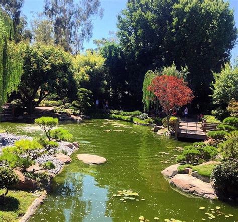 Also, they were there early to add flower arrangements and made the location even more beautiful than it already was. Earl Burns Miller Japanese Garden - 707 Photos - Venues ...
