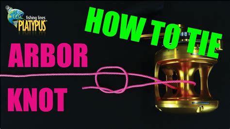 How To Tie An Arbor Knot Tackle Tactics Animated Knot Series Youtube
