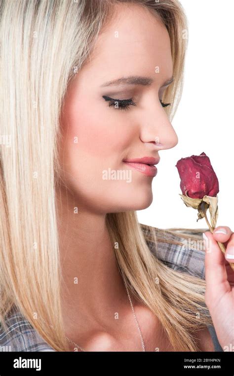 Woman Holding Rose Stock Photo Alamy