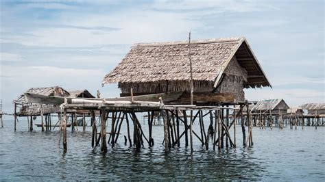 Stilt House