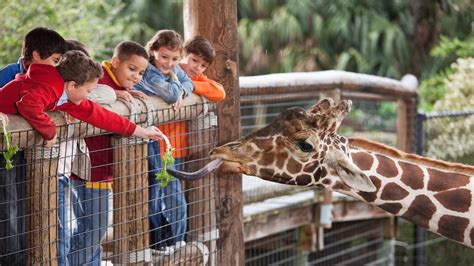 The Best Zoos In America 247 Wall St