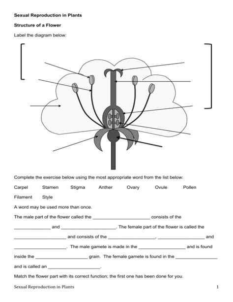 Worksheets Sexual Reproduction In Plants