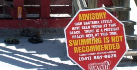 Swimmers Miss Warning Fecal Matter Found In Fla Waters