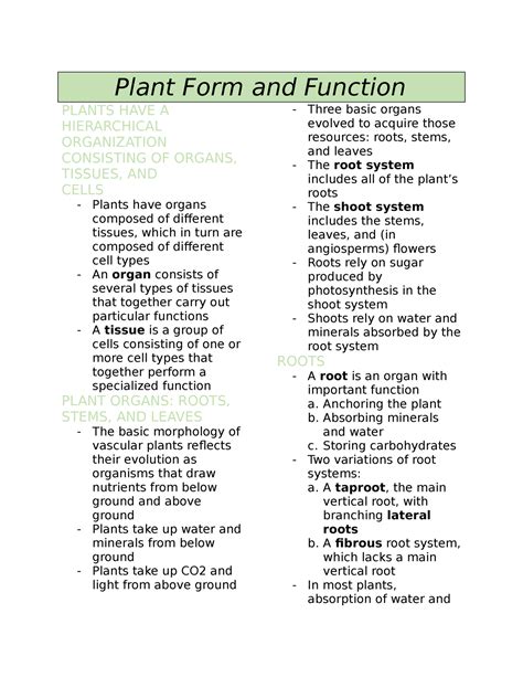 Biology 191a Plant Form And Function Notes Plant Form And Function