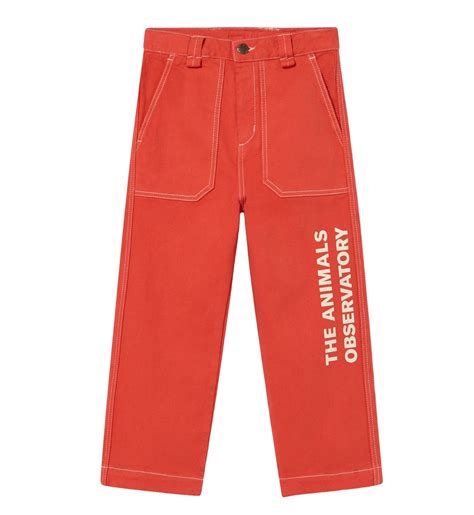 Red The Animals Ant Pants Loja Dada For Kids The Animals Observatory