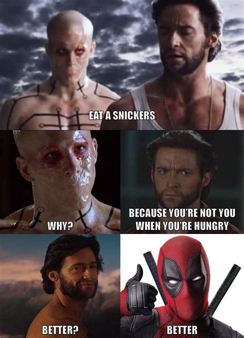 29 Funniest Wolverine Memes That Will Make You Laugh Hard