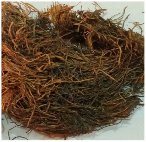Efb commonly has a high moisture content, which lowers the combustion temperature and reduces. AgriEngineering | Free Full-Text | Potential of Oil Palm ...