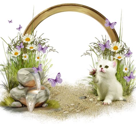 Cute Transparent Frame With White Kitten Белые котята Детские