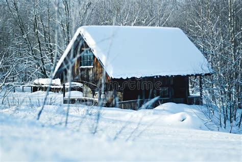 Wooden Winter Cabin Loct In Forest Stock Photo Image Of Cabin