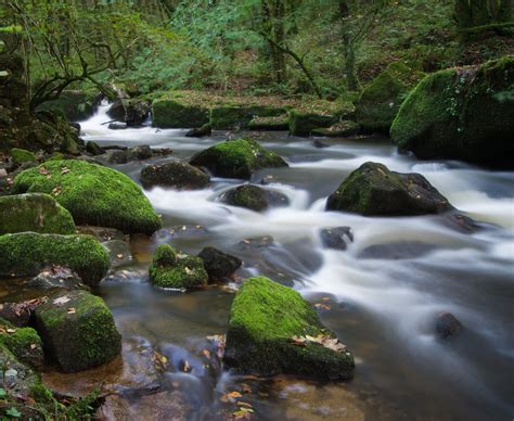 Woodland stream | Matthew Kirkland | Flickr