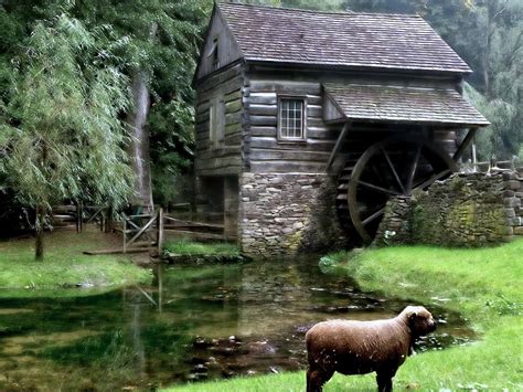 Watermill Wallpapers Man Made Hq Watermill Pictures 4k Wallpapers 2019