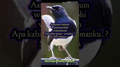 .icelandic indonesian italian japanese korean latin malay malayalam marathi nepali norwegian polish portuguese romanian russian serbian slovak spanish swahili swedish what does apa khabar mean in malay? Apa khabar kawan - YouTube