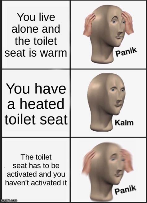 Toilet Seat Up Meme