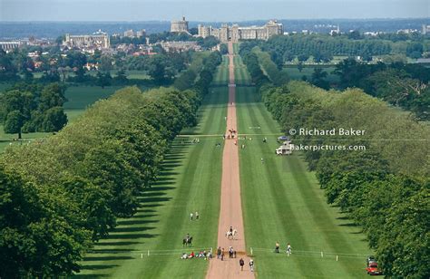 England Berkshire Windsor Great Park Richard Baker Photography