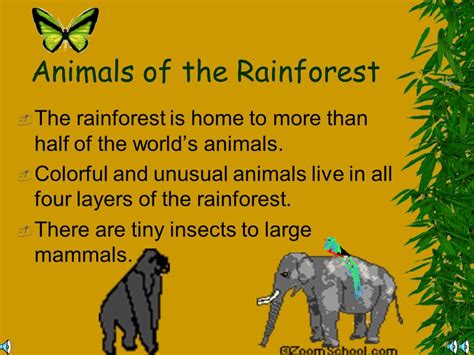 Asian Rainforest Facts Telegraph
