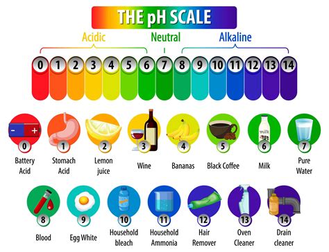The Ph Scale Diagram On White Background 1845030 Vector Art At Vecteezy