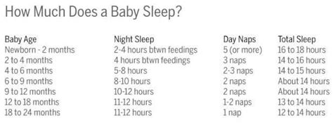 Puppies sleep a lot during the day, just like babies. Image result for gina ford Schedule