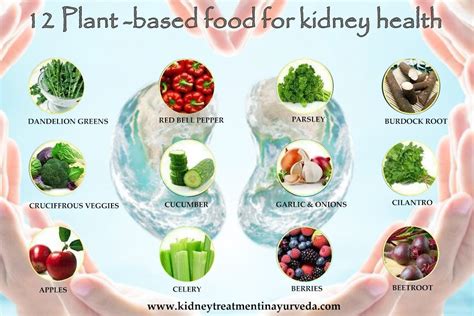 Good Kidney Health Diet