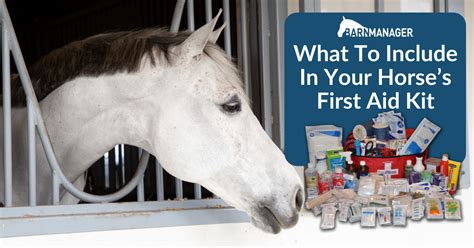 Barn Manager What To Include In Your Horses First Aid Kit